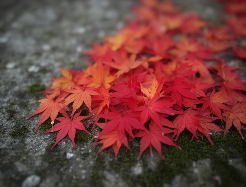 Autumn scene