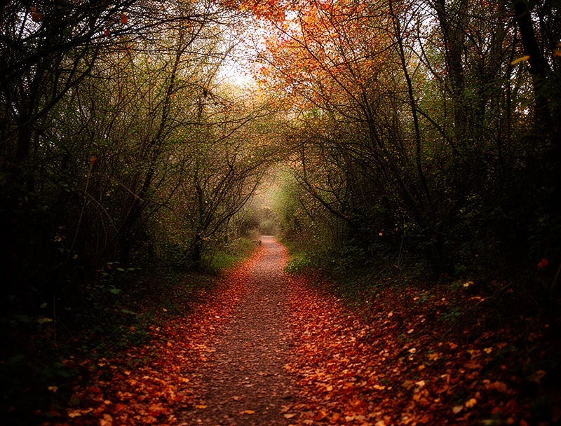 Garden path
